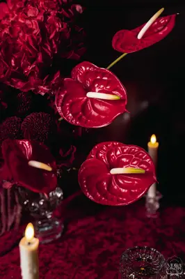 Vidira Birthday — Amit's 40th — event design and production by Vidira Concept — image 2